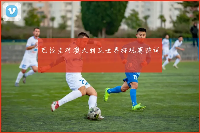 巴拉圭对澳大利亚世界杯观赛热词