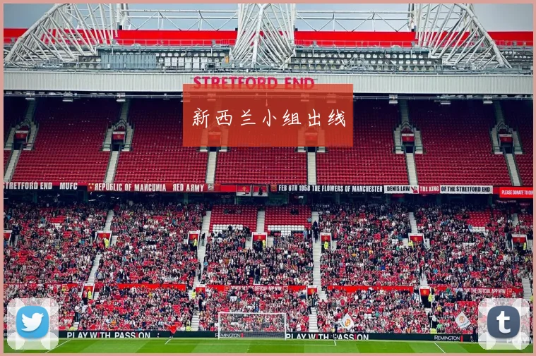 新西兰小组出线