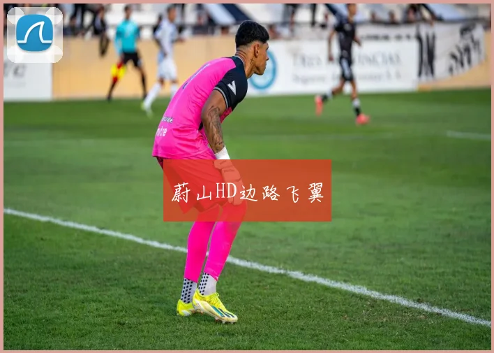 蔚山HD边路飞翼