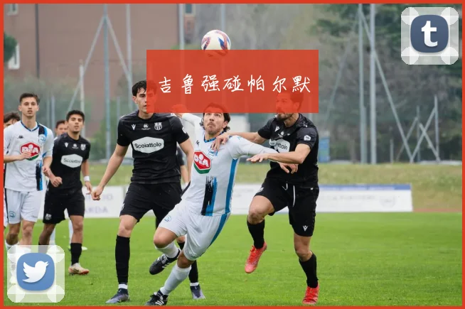 吉鲁强碰帕尔默