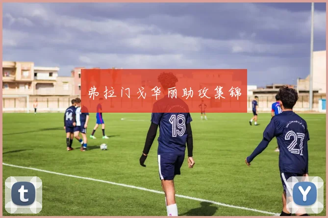 弗拉门戈华丽助攻集锦
