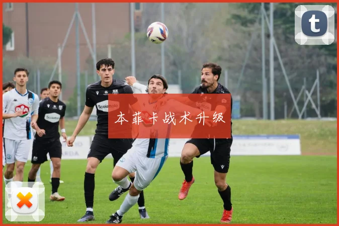 本菲卡战术升级