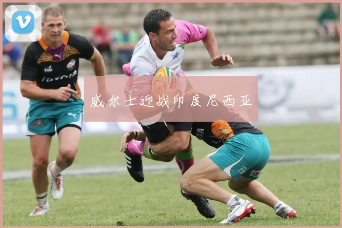 威尔士迎战印度尼西亚