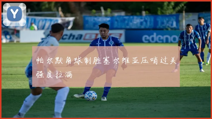 帕尔默角球制胜塞尔维亚压哨过关强度拉满
