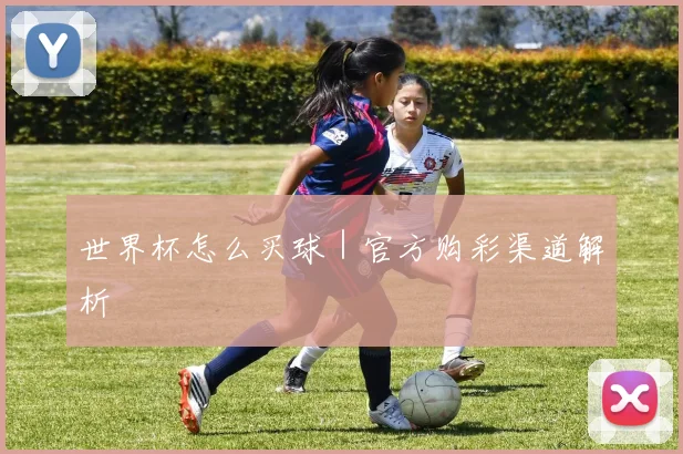 世界杯怎么买球｜官方购彩渠道解析