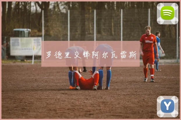 罗德里交锋阿尔瓦雷斯