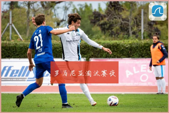 罗马尼亚淘汰赛夜