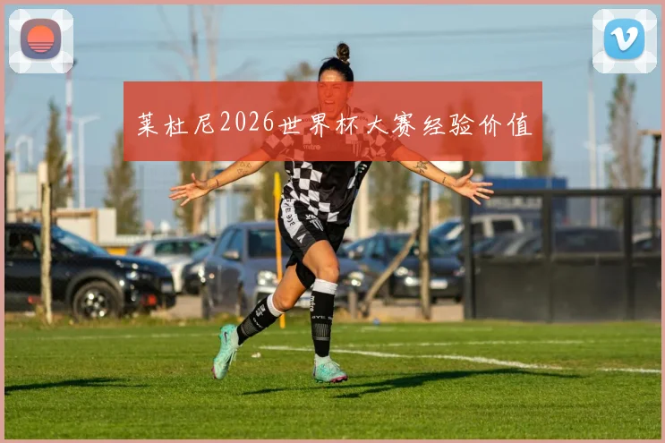 莱杜尼2026世界杯大赛经验价值