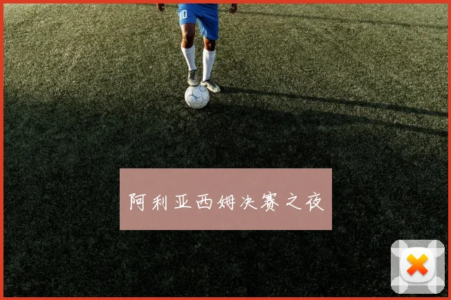 阿利亚西姆决赛之夜