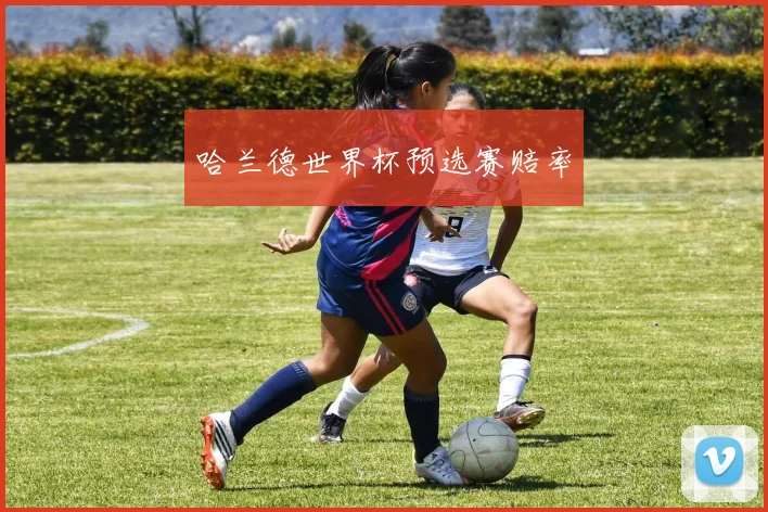 哈兰德世界杯预选赛赔率