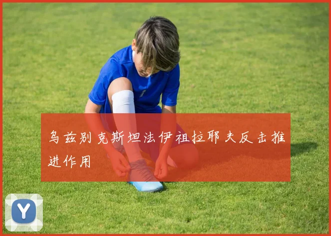 乌兹别克斯坦法伊祖拉耶夫反击推进作用