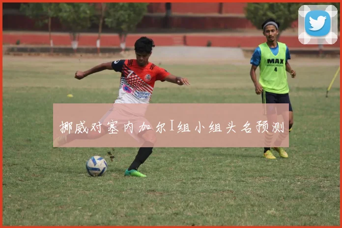 挪威对塞内加尔I组小组头名预测