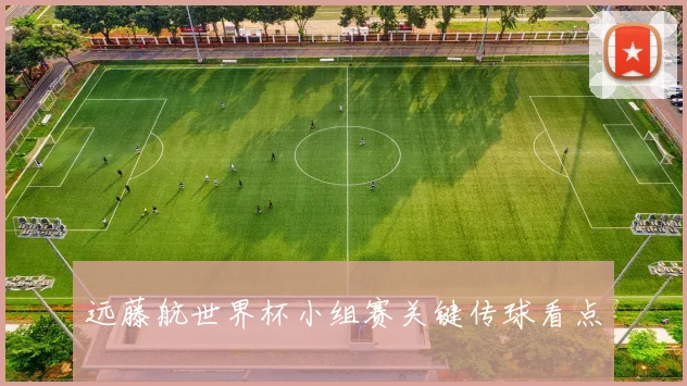 远藤航世界杯小组赛关键传球看点