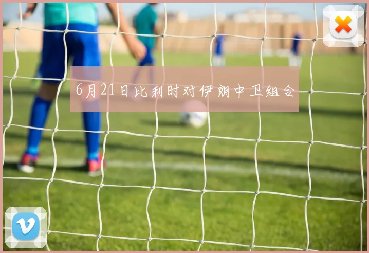 6月21日比利时对伊朗中卫组合
