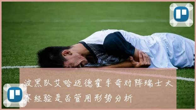 波黑队艾哈迈德霍季奇对阵瑞士大赛经验是否管用形势分析